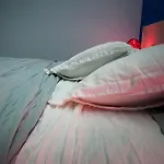 德里乌里维旅馆
