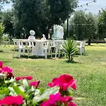 Degli Ulivi Πανσιόν Porto SantʼElpidio