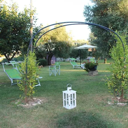 Degli Ulivi 4*