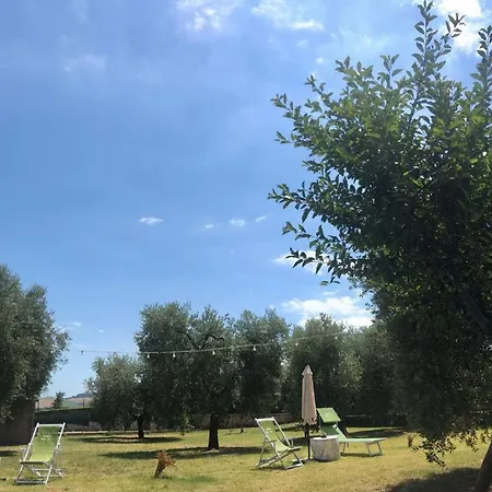 Degli Ulivi Maison d'hôtes 4*