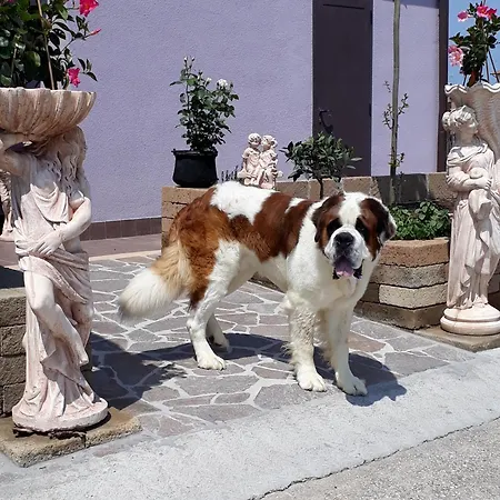 Degli Ulivi Maison d'hôtes 4*