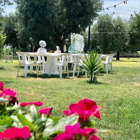 Degli Ulivi Maison d'hôtes Porto SantʼElpidio